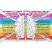Inner Light Resources Rainbow Cards & Charts Series - Rainbow of Chakra Centers - Original Rainbow Series Wallet Cards