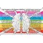 Inner Light Resources Rainbow Cards & Charts Series - Rainbow of Chakra Centers - Original Rainbow Series Wallet Cards