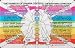 Inner Light Resources Rainbow Cards & Charts Series - Rainbow of Chakra Centers - Original Rainbow Series Wallet Cards
