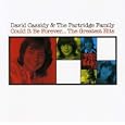 Could It Be Forever... The Greatest Hits David Cassidy & the Partridge Family