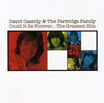 Could It Be Forever - The Greatest Hits