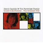 David Cassidy Partridge Family Could be forever The Greatest Hits by  David Cassidy and The Partridge Family 