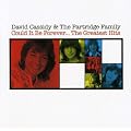 Could It Be Forever - The Greatest Hits