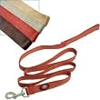 Nylon Lead With Swivel Snap, 1" x 4' Brown