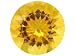 Jewelry : MIN 4.50CT 12MM ROUND MADEIRA CITRINE