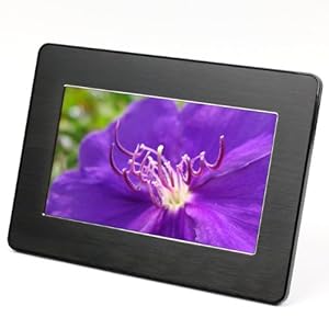 Micca M707 7- Inch 800x480 High Resolution Digital Photo Frame, USB