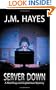 Server Down (Mad Dog & Englishman Mysteries)
