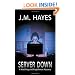 Server Down (Mad Dog & Englishman Mysteries)