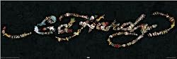 Ed Hardy - Mini Tattoo Door Poster (Ed Hardy Signature) (Size: 36" x 12")