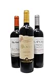 【チリ 赤ワイン 750ml×3本セット】厳選チリ赤ワインセット