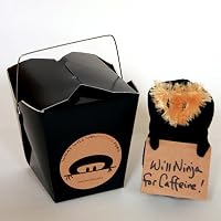 HoboNinja 