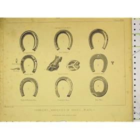 FARRIERS SHOES c1840 FROST SANDAL JOINTED BAR STEWARTS