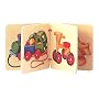 Vehicles Wooden Picture Book