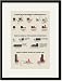 Black Framed/Matted Print 17x23, Illustration of the Theory of Compound Radicals