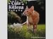 Cute Kittens Cats 16 Month 2010 Wall Calendar