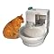 Pet Products
