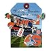 University of Florida Wishing Bracelet - Football