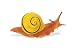 Safari Incredible Creatures: White Lipped Snail