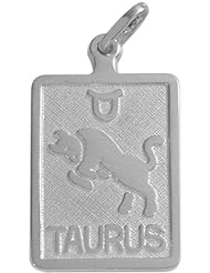 10 Karat White Gold Taurus Zodiac Pendant with Chain