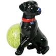 Westland Giftware Black Lab and Tennis Ball Salt and Pepper Shakers