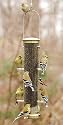 Aspects Medium Antique Brass Thistle Feeder Quick Clean