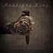 Redlight King - Bullet In My Hand