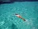 Wallmonkeys Peel and Stick Wall Decals - Female Snorkeler Swimming to Reefs in the Caribbean - Removable Graphic