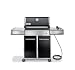 Weber 3841001 Genesis E-310 Natural Gas Grill, Black