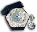 U.S. Coast Guard Paperweight