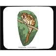 Mouse Pad with macula, quoll, branch, dasyurus, scared