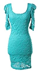 Lace Scoop Neck Nylon/Spandex Puff Sleeves  Dress