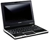 Toshiba NB100-10Y 8,9 Zoll WSVGA Netbook (Intel Atom N270 1,6GHz, 1GB RAM, 120GB HDD, Intel 945GSE, Windows XP Home)