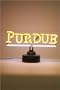 Purdue Neon Lamp/Light Sign