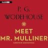 Meet Mr. Mulliner