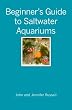 Beginner's Guide to Saltwater Aquariums