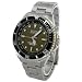 ELGIN (�G���W��) �r���v �\�[���[ �d�g���v FK1253S-APM �����Y