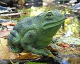(Price/1)Floating Pond Frog - 6