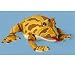 Surinam Horned Frog Puppet (P8216)