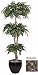 6' Silk Smilax Tree Layered Topiary Burgundy