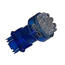 EVO 93243 Formance Blue 3175 LED Replacement Bulb