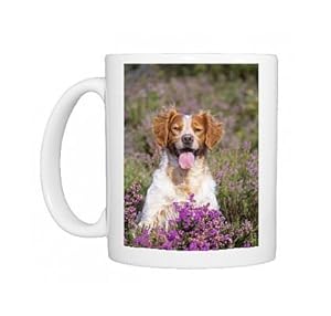 Brittany / Epagneul Breton Dogin heather Photo Mugs