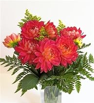 Dahlia Sunset Fresh Flower Bouquet