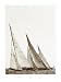 12 Metres Ji by Guillaume Plisson. Size 19.52 inches width by 26.72 inches height. High Quality Art Poster Print
