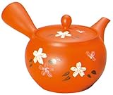 �튊�� �_���D�V�ۍג����̂��݋}�{ F913