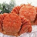 極上浜ゆで毛蟹 550g前後 2尾入 濃厚な蟹味噌!【オホーツク産】