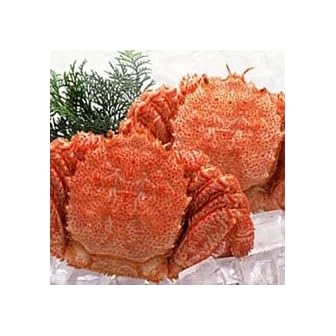 極上浜ゆで毛蟹 550g前後 2尾入 濃厚な蟹味噌！【オホーツク産】
