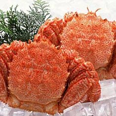 極上浜ゆで毛蟹 550g前後 2尾入 濃厚な蟹味噌！【オホーツク産】