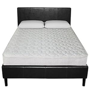 Sleep Master 6-Inch Spring Mattress, Twin