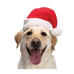 Aria Santa Dog Hats, Small