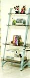 Exclusive 73 High 4-Tier LEANING LADDER MAGAZINE BOOK SHELF